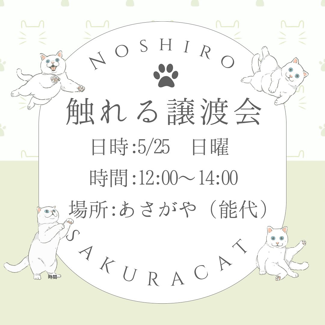 5月25日 日曜日
能代市柳町の窯焼き『ピッツァ あさがや』にて
12:00〜14:00まで保護猫に触れ合いながらマッチングして頂ける譲渡会を行います。
先月主催者が熱を出して不在となり申し訳ありませんでした🙇♀️
23年に多頭崩壊から保護したみんなササカマ色のしろちゃん。
それぞれの個性があり、人慣れ度はまちまち年齢も正直正確にはわからないのですがフレンドリーすぐ寄ってくる子もいます😸
是非会いにいらしてください。
譲渡会はご予約優先とさせて頂きますので、お電話にてお願い致します。
0185-54-4054あさがやまで。
住所:能代市柳町8-30
駐車場ありますが、止められない場合能代市役所などご利用ください🙇♀️
#能代市 #多頭飼育崩壊で保護された子 #保護猫 #猫好きさんと繋がりたいな #触れる譲渡会