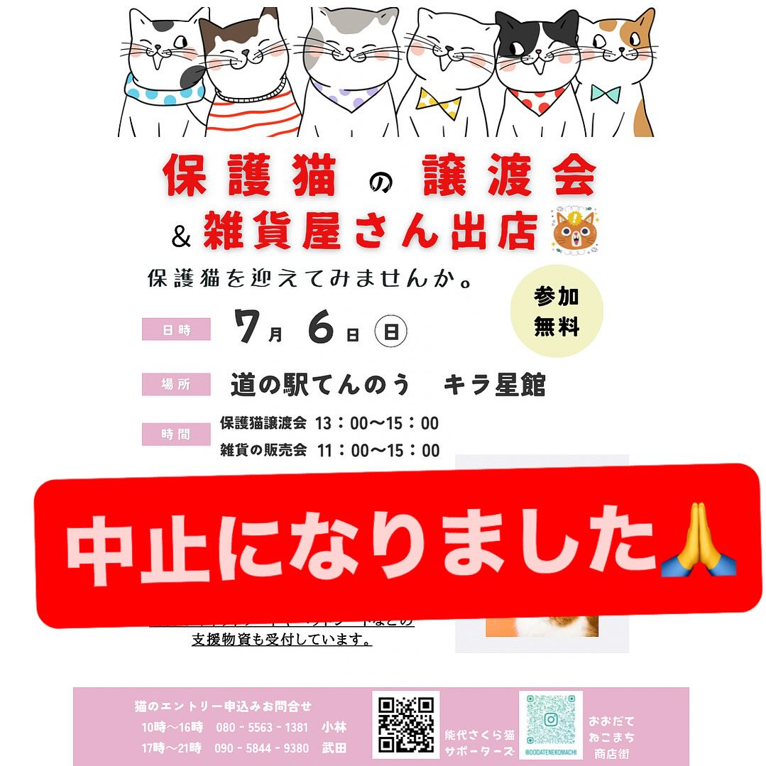 7月6日予定の譲渡会は、会場の空調の故障により中止となりました。
次回は8月3日日曜日 鷹の巣のビッグです🌻😻
よろしくお願いします🙇♀️