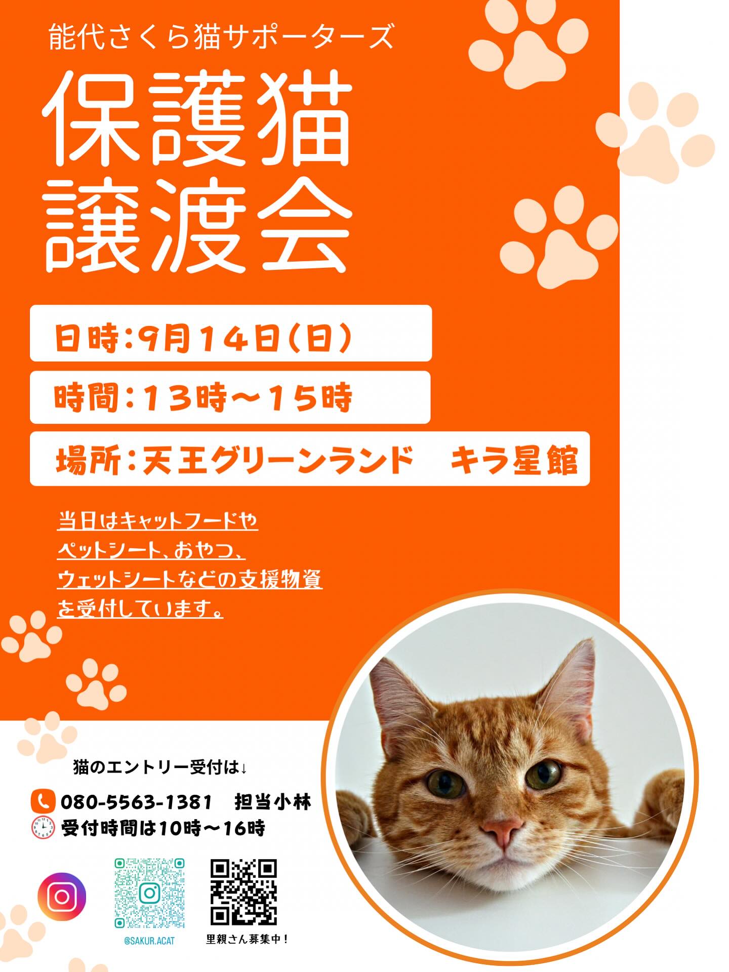次回の譲渡会情報です。
9月14日日曜日
場所は天王グリーンランド(道の駅てんのう)の
敷地内にあるキラ星館
時間は13時から15時です。
猫のエントリーは9月7日までお願い致します🤲