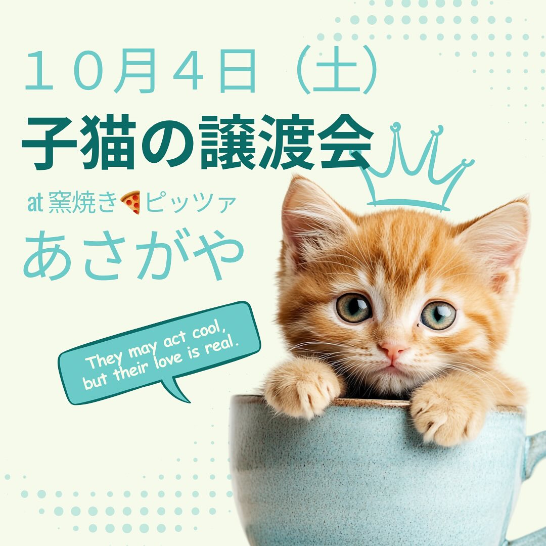 能代市で行う、子猫による子猫のための小さな譲渡会の
お知らせです📢❤︎
日時:10月4日 土曜日
時間:11時〜15時
場所:能代市柳町8-30 窯焼きピッツァ🍕あさがや
2階にて。
ご予約頂けるとよりスムーズにご案内できます。
ご予約はお気軽にお電話ください。
08055631381 担当小林
予約がなくても子猫との面会可能です。
駐車場はお店に2台、公営駐車場は徒歩1分 能代市役所徒歩4、5分です^_^
皆さまのお越しをお待ちしております(=^x^=)🍀