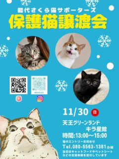 天王グリーンランド キラ星館で行われる
保護猫譲渡会のお知らせです📢📢📢
日時:11月30日 日曜日
時間:13:00〜15:00
みなさまにお会いできるのを楽しみにしています😃
是非保護猫に会いに来てください🐈💖
当日はキャットフード(開封済み可能です)やペットシート、
ウェットシートなどの支援物資を受付しております🙇♀️
スーパーワイドシートが不足しております。
どうかよろしくお願い致します🙇♀️
See you soon 🥰