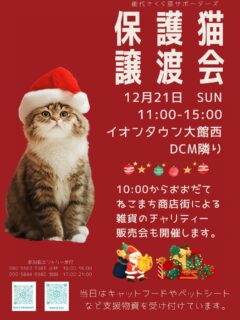 少し早いですが12月の譲渡会のお知らせです🎄🎅

12月は大館です😆
イオンタウン大館西　DCMとなりのイベント会場✨🐈
12月の譲渡会は時間が長めになります。

おおだてねこまち商店街さんによる雑貨のチャリティー販売会もあります🎁
クリスマス🎄プレゼントにバッチリの素敵なモチーフばかり🥰

皆様是非遊びにいらしてくださいね❣️

その前に

11/9日曜　子猫のための小さな譲渡会
能代市柳町8-30 あさがやにて
11:00〜20:00開催🐈✨

11/30日用　恒例の保護猫たちの譲渡会　
天王グリーンランド　キラ星館にて
13:00〜15:00

も開催されます😌

よろしくお願いします🥺