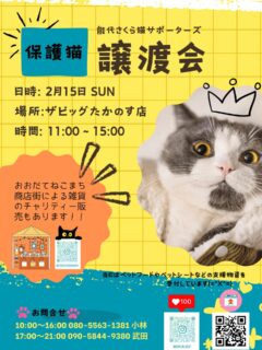 ⭐️2月譲渡会のお知らせ🐈⬛
2月15日日曜日
イオンタウン鷹の巣 ザビッグたかのす店にて。
11:00〜15:00
かわいい保護猫たちに是非会いに来てください✨
まだ生後半年くらいから、年長さんまで個性豊かな保護猫さんがずっとのお家を探しています🔍😻
おおだてねこまち商店街さんによる
雑貨の販売もあります🥰
素敵な雑貨ばかりですよ😃寒い冬はお家時間も長くなるので
お部屋に素敵な雑貨を取り入れて見てはいかがでしょうか🏠✨12月は売り切れ続出でした。お買い求めは是非お早めに👍