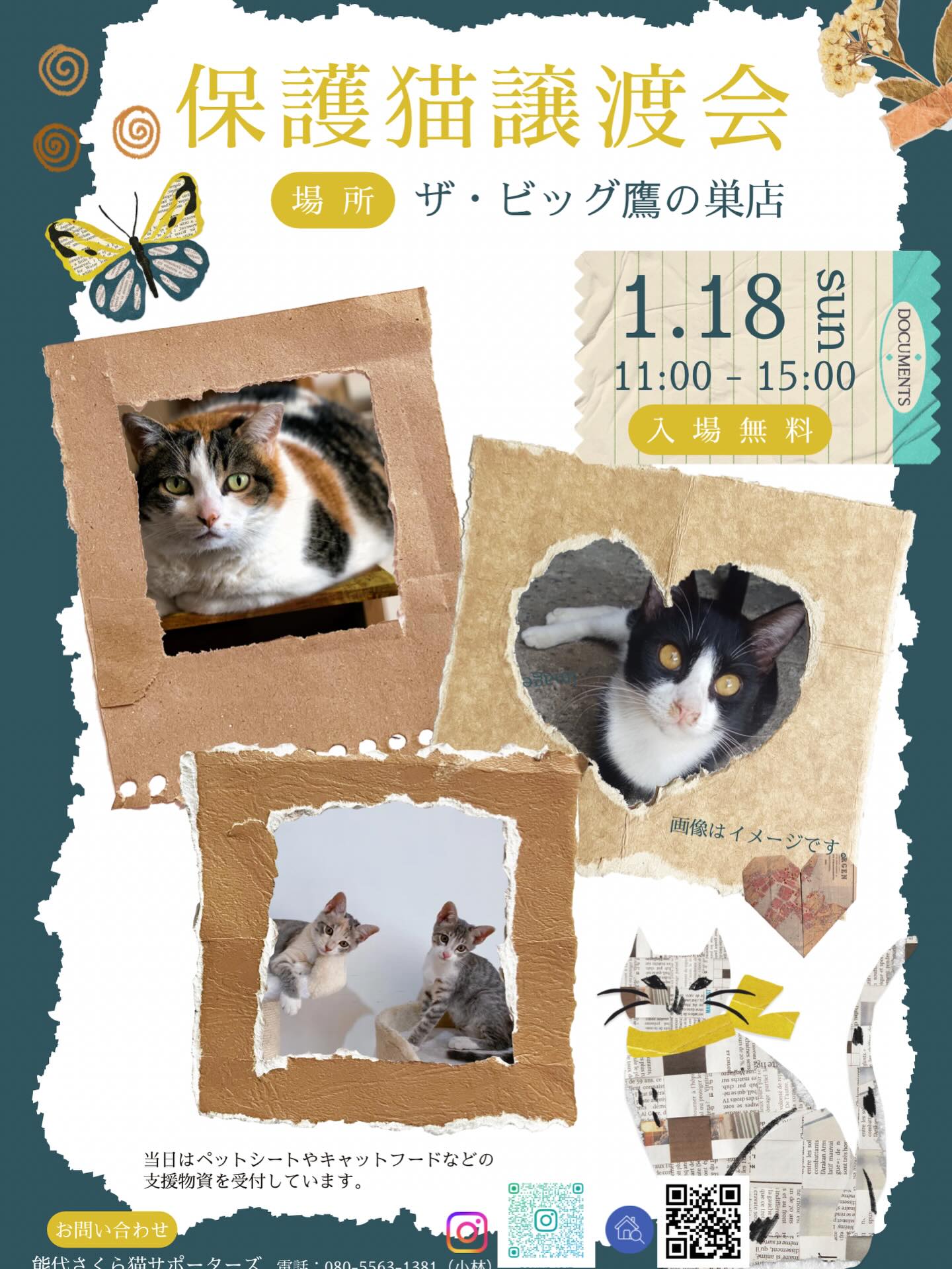 1月の譲渡会のお知らせです📢

次回は2026年1月18日　日曜日
場所はザビッグ鷹の巣店（店内イベントブース）
時間は11:00〜15:00
です😺

保護猫たちはりきって参加予定です^_^
可愛くて個性あふれる魅力的な保護猫たちに
是非会いに来てください❣️
ずっとのお家募集中(=^x^=)

譲渡会へ保護猫のエントリーは1月11日までに
お願い致します。
ノミダニ、内部寄生虫駆除と3種ワクチン接種、
猫エイズ猫白血病検査が必要になります。

詳しくはお問い合わせまでお電話にてお願い致します。