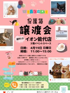 4月の譲渡会のお知らせです📢😆
4月は初めての地元開催😆
能代市柳町のイオン能代店✨
3階イベントコーナーにて🐈⬛💕
能代さくら猫サポーターズの譲渡会が行われます😃
日時4月19日日曜日
時間11:00〜15:00です。
地域の小さなボランティア活動に寄り添ってくださるイオンさんいつも本当にありがとうございます😭✨
今後子猫たちも続々とデビュー予定です。
また避妊去勢やノミダニ駆除、ワクチン接種などケアされた保護猫たちが新しい家族を待っています😺
譲渡会に来たことが無い方もお気軽にどんなものか見にいらしてくださいね😃
3階の市民サービスセンター隣のイベントコーナーにて、お待ちしております。
3月は22日日曜日 ビッグたかのす店の譲渡会もあります❣️
こちらもお待ちしております😻
よろしくお願いします✨