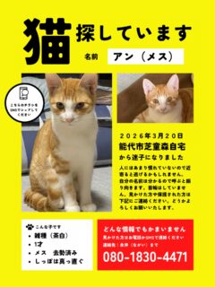 アンちゃんを探しています。
性別:メス
年齢:もうすぐ1歳
避妊手術:済み
尻尾は真っ直ぐで、首輪はしていません。
3月20日 能代市芝童森自宅から行方不明に。
1週間経ちましたがまだそんなに遠くへ行っていない可能性が高いです。
付近にお住まいの方目撃情報や些細なことでも構いませんのでご連絡ください。
飼い主さんの電話番号はチラシに記載されています。
お仕事などで出られない場合はおかけ直し致します。
情報をお待ちしています。
#迷い猫 #猫捜索中 #猫を探しています❗️
