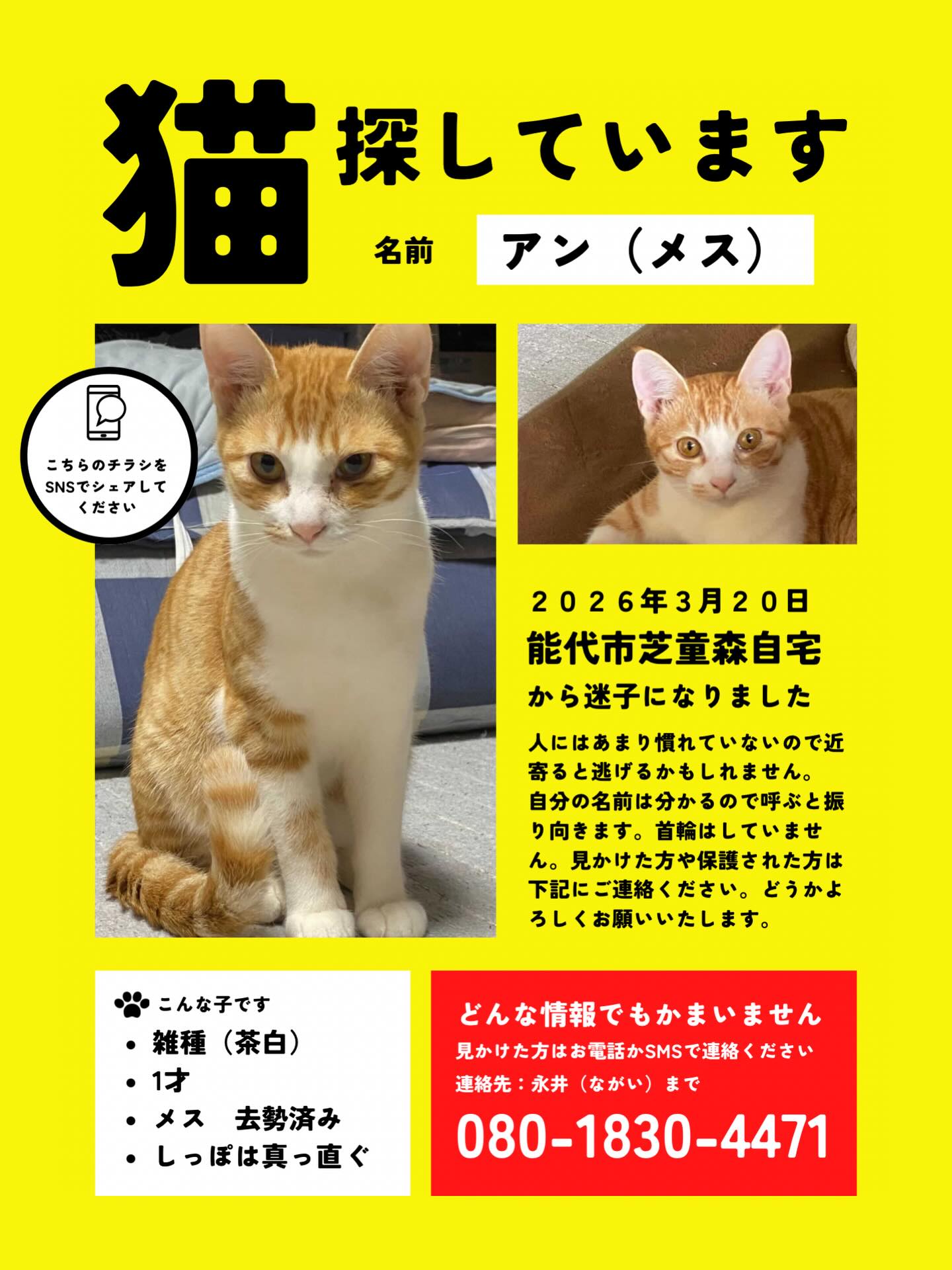 アンちゃんを探しています。
性別:メス
年齢:もうすぐ1歳
避妊手術:済み
尻尾は真っ直ぐで、首輪はしていません。
3月20日 能代市芝童森自宅から行方不明に。
1週間経ちましたがまだそんなに遠くへ行っていない可能性が高いです。
付近にお住まいの方目撃情報や些細なことでも構いませんのでご連絡ください。
飼い主さんの電話番号はチラシに記載されています。
お仕事などで出られない場合はおかけ直し致します。
情報をお待ちしています。
#迷い猫 #猫捜索中 #猫を探しています❗️