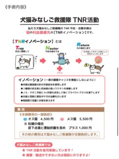 🐈⬛お知らせ🐈⬛
定期的に秋田県に来てくださる犬猫みなしご救援隊さんによる野良猫の出張手術、次回の開催は5月14日木曜日です。
手術料金は
女の子 5,500円
男の子 4,500円
料金内に手術の他にワクチン、ノミダニ消化管内虫下し込みの駆除ブラペクト、抗生剤、その他怪我や病気も診てくれます。(治療や処方薬など別途追加料金あり)
手術後はさくら耳カット入ります。
奥州の千葉先生も来てくれますー☺️
ご予約、詳しい内容は犬猫みなしご救援隊秋田支部にお問合せください。☎️090 8785 5698