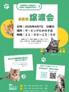 🐈‍⬛譲渡会のお知らせです📢

次回は6月7日日曜日、ザビッグたかのす店にて。
時間は11:00〜15:00です❣️