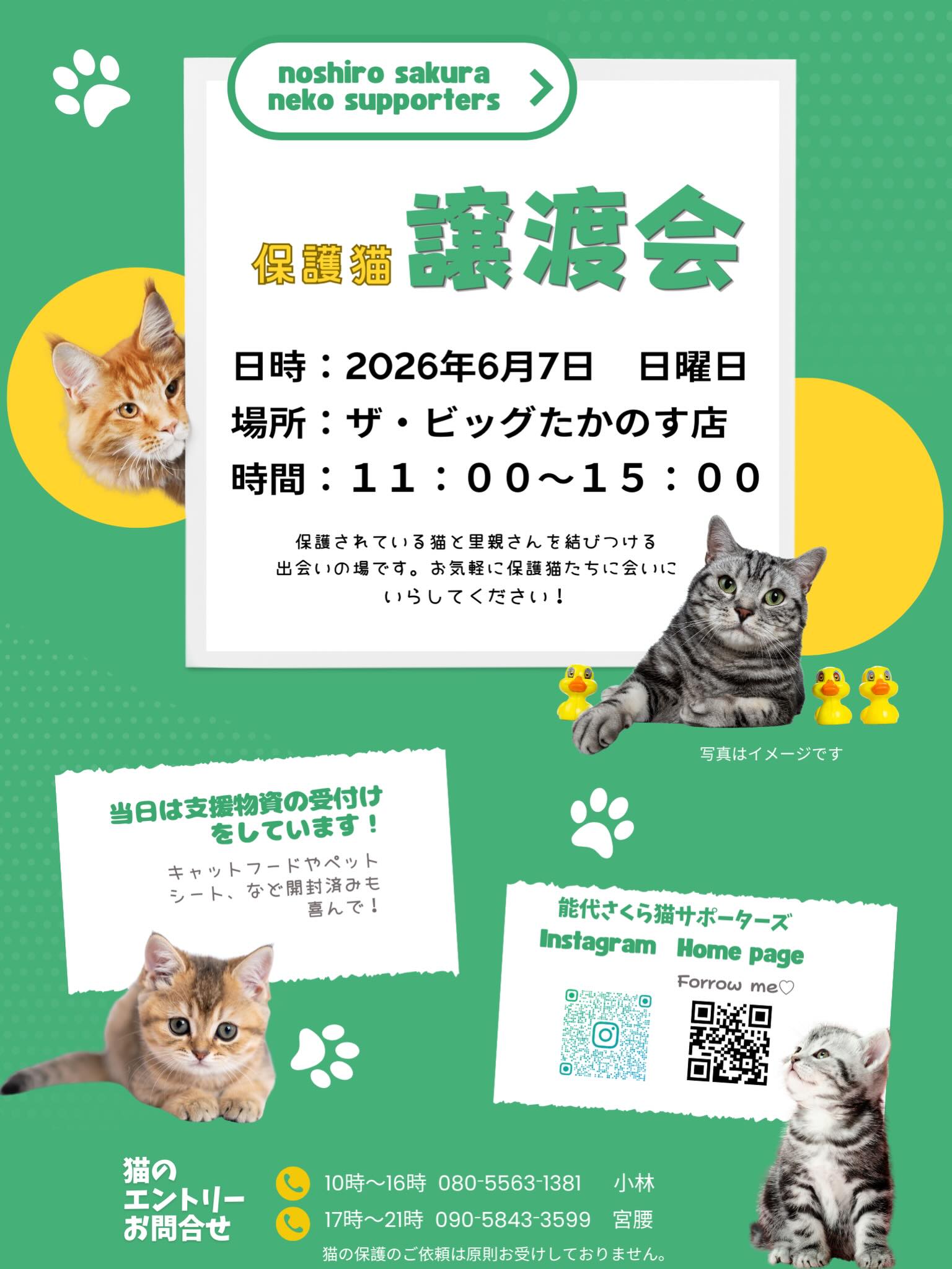 🐈‍⬛譲渡会のお知らせです📢

次回は6月7日日曜日、ザビッグたかのす店にて。
時間は11:00〜15:00です❣️