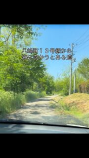 遊泳禁止の人も近寄る事もほとんどない海の漁師小屋にいる
５匹の捨て猫たちです。約10年前に捨てられたのだそうです。
※13号線ではなく101号線の間違いです🙏

小屋の持ち主さんが餌をあげてくれてなんとか生きていますが、持ち主さんは80代で通える回数が少なく猫たちも満足に餌をもらえていない様子。
魚を煮て、残れば持ってくんだーとの事💦

そして避妊去勢もされていないので子猫が産まれているかと思うのですがこのように外敵から守れる安全な出産場所や育児できる場所がなく子猫は育たないようです。

これから避妊去勢手術をして出来れば保護をしたいのですが今はシェルターに十分なスペースがありません。
あまりたくさん猫を入れすぎると手が回らず飼養の質が悪くなって管理が行き届かなくなります。

それでお願いなのですが…
全頭保護が出来るまで時間がかかるため、その間八峰町近辺でこの子たちにお水や餌を届けに行くとができる方お手伝いをお願い出来ませんでしょうか。毎日でなくても構いません。

それとこの子達にAmazonギフト💝からキャットフードのプレゼントをお願い出来ますでしょうか。痩せていて栄養も足りていません。避妊手術するため体調も整えていきたいと思います。
寒い冬が来るまでには寒さ暑さを凌げるシェルターまたは預かりボランティアさんに繋げられたらと計画しています。

Amazonギフトはプロフィールの🔗マークのURLです。

そしてどうか猫ちゃんをお迎えをご希望の方がいらっしゃいましたら能代さくら猫サポーターズの譲渡会へ🥺貰われてシェルターに空きが出来ればこの子たちを保護する事が叶います。
次回6月7日日曜日　ザビッグ鷹の巣店です⤴️

どうか、よろしくお願い致します。