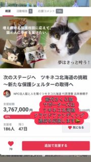能代さくら猫サポーターズ🌸😸はツキネコ北海道シェルター増設のためのクラウドファンディング達成を応援しています🌙😸📣

北海道で4年ほど暮らした事があるわたしにとっても第二の故郷でもある北海道。

北海道でも多頭飼育崩壊が後を絶たず広い道内の全ての崩壊案件をツキネコ北海道さんが救済しています。
増え続ける相談にこの度新シェルター増設を決意されました。

もちろん多頭飼育崩壊だけではなく寒い寒い北海道は保護を必要とする野良猫にとっても暖かい場所が必要です。

保護をしてからその後は風邪の治療や怪我の治療と医療にもたくさんのお金がかかります。

このプロジェクト成功のため皆さまのご支援もよろしくお願い致します。

クラウドファンディングは「レディフォー」からツキネコ北海道を検索してください。

https://readyfor.jp/projects/tsukineko_4?sns_share_token=&utm_source=pj_share_url&utm_medium=social