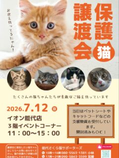 7月の譲渡会のお知らせです📢

7月は12日日曜日
場所はイオン能代店　3階のゲームセンター隣の
イベントコーナーです😸

当日は使わなくなったペットシート
（サイズはスーパーワイド、レギュラーサイズが不足がちです。）
またキャットフードやおやつなど支援物資を受付しております。開封済みも可能です✨

よろしくお願い致します🙇‍♀️

子猫から成猫までいろんな猫がずっとのお家を
待っています🥰
是非皆様のお越しをお待ちしております😸✨

譲渡会に参加されたい猫さんは、お問合せの
電話番号までご連絡ください。
※猫の保護のご依頼は原則お受けできません。