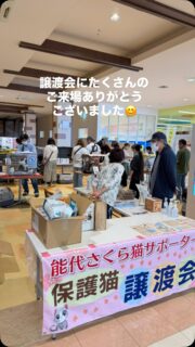 昨日は、ビッグたかのす店での譲渡会へたくさんのご来場
ありがとうございました😊
おかげさまで5匹の猫たちがトライアル決まりました。
募金箱には14,786円もの募金を頂きました。
譲渡会会場費に使わせていただきます。
ありがとうございました😊
そしてたくさんの支援物資もありがとうございます。
現在、鹿角市の多頭飼育案件に協力しておりまして
そちらの猫たちに、差し上げたいと思います🥺
来月はイオン能代店、3階イベントコーナーにて
譲渡会を行います。また是非皆様のご来場を
お待ちしております✨
