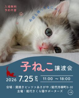 🐈‍⬛子猫が主役の譲渡会のお知らせ🐈‍⬛

日時:7月25日　土曜日
場所:窯焼きピッツァ🍕あさがや
　（住所:能代市柳町8-30）
時間:11:00〜18:00

子猫たち大集合🐱✨
是非会いに来てください❣️
（譲渡の際は保護費用｛医療費や飼育費の一部｝ご負担を
頂いております。詳しくはスタッフにお尋ねください。

駐車場🅿️は大変混み合う
可能性がありますので近くの
能代市役所をご利用ください🙇‍♀️
（徒歩3分）