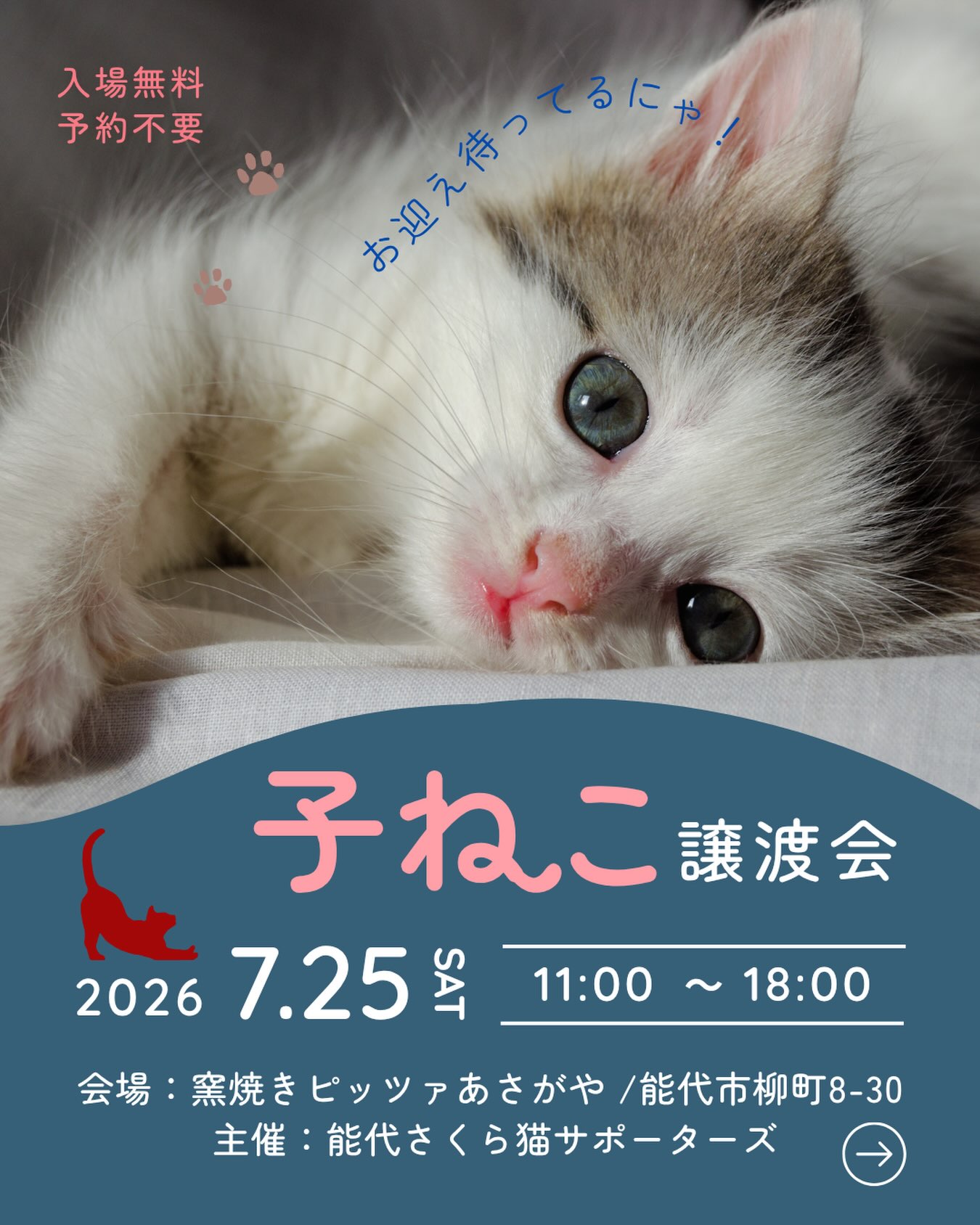 🐈‍⬛子猫が主役の譲渡会のお知らせ🐈‍⬛

日時:7月25日　土曜日
場所:窯焼きピッツァ🍕あさがや
　（住所:能代市柳町8-30）
時間:11:00〜18:00

子猫たち大集合🐱✨
是非会いに来てください❣️
（譲渡の際は保護費用｛医療費や飼育費の一部｝ご負担を
頂いております。詳しくはスタッフにお尋ねください。

駐車場🅿️は大変混み合う
可能性がありますので近くの
能代市役所をご利用ください🙇‍♀️
（徒歩3分）