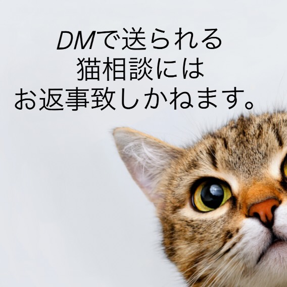 毎日よのうに長文で猫相談がDMで送られている
ようなのですが、基本お返事はしておりません。
仕事をしながら、保護猫のお世話など日々忙しく
しているので読んでいる時間ややり取りする
時間がありません。申し訳ありません。
どうしてもお困りのときはお電話でお願い致します。
ただ丸投げのご相談はお断りしております。
動物は医療にお金がかかります。
私のところには他にも保護猫が複数いるので、
新しく入所する際は特に新入りさんが持っている
ウイルスに気をつけなければ蔓延してしまいます。
ですので保護協力については保護主さんの方
で初期医療、検査、治療、ワクチン接種など
をお願いしております。
(便検査、ノミダニ腸内管寄生虫駆除、
猫エイズ、猫白血病検査、猫風邪の治療は
必須です)
また元気そうに見えても子猫なら出来れば2週間は
様子を見て頂くのが理想です。
隔離できるだけの部屋数や人手があれば良いのですが
そうもいきません。
またボランティアが猫を抱えすぎて
キャパオーバーで破綻してしまうのを防ぐために
保護頭数も制限しています。
こちらのケージや部屋が空いていない時は
お待ちいただいている間保護主さんの方で
預かりもしていただく必要もあります。
ご協力をよろしくお願い致します。