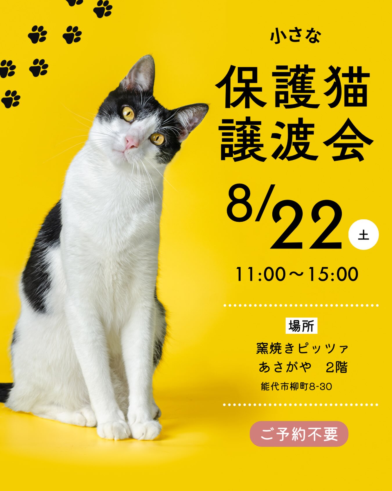 9月のイオンの譲渡会の前に、小さなプチ譲渡会
を開催します。

2ヶ月〜4ヶ月くらいの子猫たち〜
若くて大きめなダイナマイトキャットが
参加します。
かわいいキティーズや女王様たちに
是非会いに来てください(=^ェ^=)

場所　能代市柳町8-30
あさがや　2階

時間は11:00〜15:00です。

駐車場🅿️は能代市役所を
ご利用下さい。
