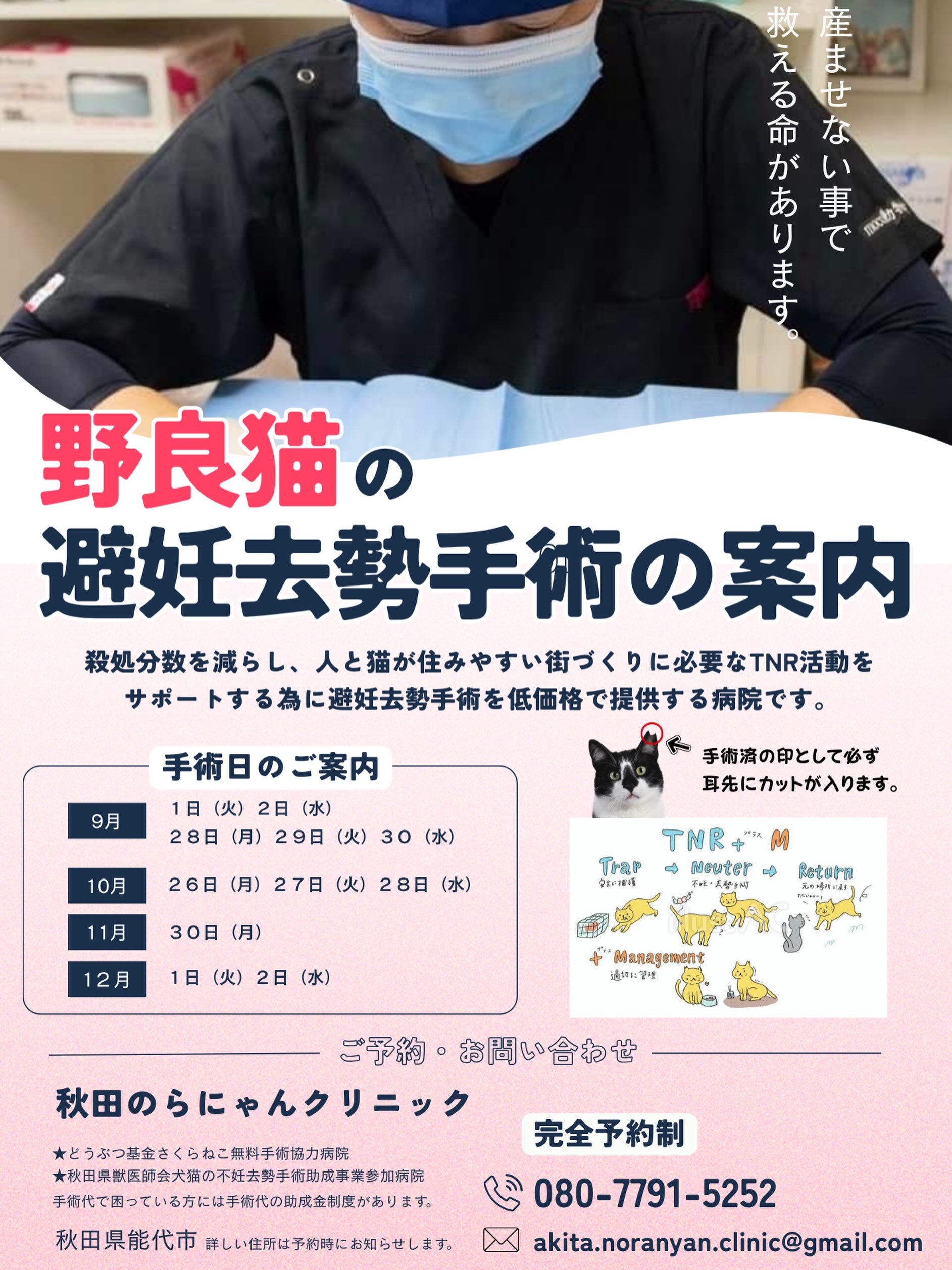 🐈‍⬛秋田のらにゃんクリニックの紹介です🐈‍⬛

野良猫の殺処分数を減らし、猫と人が住みやすい街づくりに必要なTNR活動をサポートするために避妊去勢手術を低価格で提供する病院です。

主旨を良くご理解頂いた上でお申し込みください。

飼い猫は対象外とさせていただきます。
多頭飼育崩壊は別枠になります。
ご相談ください。

野良猫の不妊手術
オス去勢:6,000円　メス避妊:7,000円
＊耳先カットが必ず入ります。

上記の料金には麻酔　不妊手術　抗生物質　
皮下点滴　3種混合ワクチン　ノミダニ駆除　
が含まれます。

またその他治療が必要な場合別途料金が
かかります。

野良猫を捕獲するための捕獲器の貸出しなど
ご相談ください。
また猫の運搬が困難な方はお手伝いも
しています。ご相談ください。

ご予約は
秋田のらにゃんクリニック
☎️080-7791-5252
📩akita.noranyan.clinic@gmail.com

★どうぶつ基金さくら猫無料手術協力病院
★秋田県獣医師会犬猫の不妊去勢手術助成事業参加病院
＊手術代でお困りの方には手術代の助成制度があります。