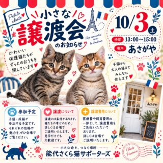 🐾 小さな譲渡会のお知らせ 🐾

10月3日（土）、能代市柳町のピッツァ🍕
のお店あさがやで
「小さな譲渡会」を開催します🏠🐈💕

今回も、ずっとのおうちを探している
保護猫たちが参加予定です。

子猫から大人の猫まで、
顔も性格も、もちろんみんな違います。

写真で見る「かわいい」と、
実際に会ったときの「なんかこの子、気になる…」
はちょっと違ったり☺️
不思議なことに、
猫を選びに来たつもりが
猫のほうに選ばれていたりします😂💕

「まだ飼うと決めていないんだけど…」
そんな方も大歓迎です。

まずは会いに来て、
その子の表情や性格をゆっくり見てください。

小さな出会いが、
猫と人の大きなご縁につながりますように🌷

📅 10月3日（土）
⏰ 13:00〜15:00
📍 窯焼きピッツァ🍕あさがや（能代市）

※譲渡には条件があります。
※医療費や飼育費用の一部として、
譲渡費用をご負担いただいております。
※参加する猫は当日の体調などにより
変更になる場合があります。

見るだけでも大歓迎です🐾
どうぞ気軽に遊びに来てくださいね。

能代さくら猫サポーターズ

#能代さくら猫サポーターズ #保護猫譲渡会 #譲渡会 #保護猫 #里親募集 子猫里親募集 ずっとのおうち 秋田県 能代市 あさがや 猫のいる暮らし 保護猫を家族に