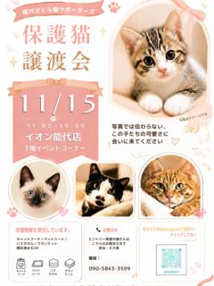 🐾 11月の保護猫譲渡会のお知らせ 🐾

10月の譲渡会はこれからですが、
11月の日程も決まりましたので、
ちょっぴり早めにお知らせします☺️🍁

📅 11月15日（日）
⏰ 11:00〜15:00
📍 イオン能代店 3階 イベントコーナー

今回も、いろんな個性を持った保護猫たちが
参加予定です🐈🐾

元気いっぱいの子猫。
のんびりマイペースな成猫。
人が大好きな甘えん坊さん。
ちょっぴり恥ずかしがり屋さん。

そしてもしかしたら……

まだ人との暮らしをお勉強中の
“シャー猫さん”も参加するかもしれません😂

シャー！も、その子なりの
「ちょっと怖いよ〜」の意思表示。

そんなところも含めて、
みんなそれぞれ違って、みんなかわいい。

写真だけでは伝わらない表情や仕草、
その子の個性を、ぜひ実際に会って感じてみてください☺️

「猫を迎えるかはまだ決めていない」
「ちょっと猫たちに会ってみたい」
そんな方も大歓迎です🌿

もしかしたら、
「あ、この子だ。」
と思える出会いがあるかもしれません🐈💕

当日は、キャットフード・ペットシート・バスタオル
ブランケットなどの支援物資も受付しています。
開封済みのフードもOKです◎
ペットシートは、スーパーワイド>ワイド>レギュラーの順に不足しがちです🙇‍♀️

参加する猫たちは、これからInstagramで少しずつご紹介していきます📱✨
ぜひチェックしてくださいね！

📅 11月15日（日）
かわいい子も、甘えん坊も、シャーさんも。
みんなでお待ちしています🐾

能代さくら猫サポーターズ

#能代さくら猫サポーターズ
#保護猫譲渡会
#保護猫
#里親募集
#シャー猫
保護猫を家族に
猫との暮らし
秋田県
能代市
イオン能代店