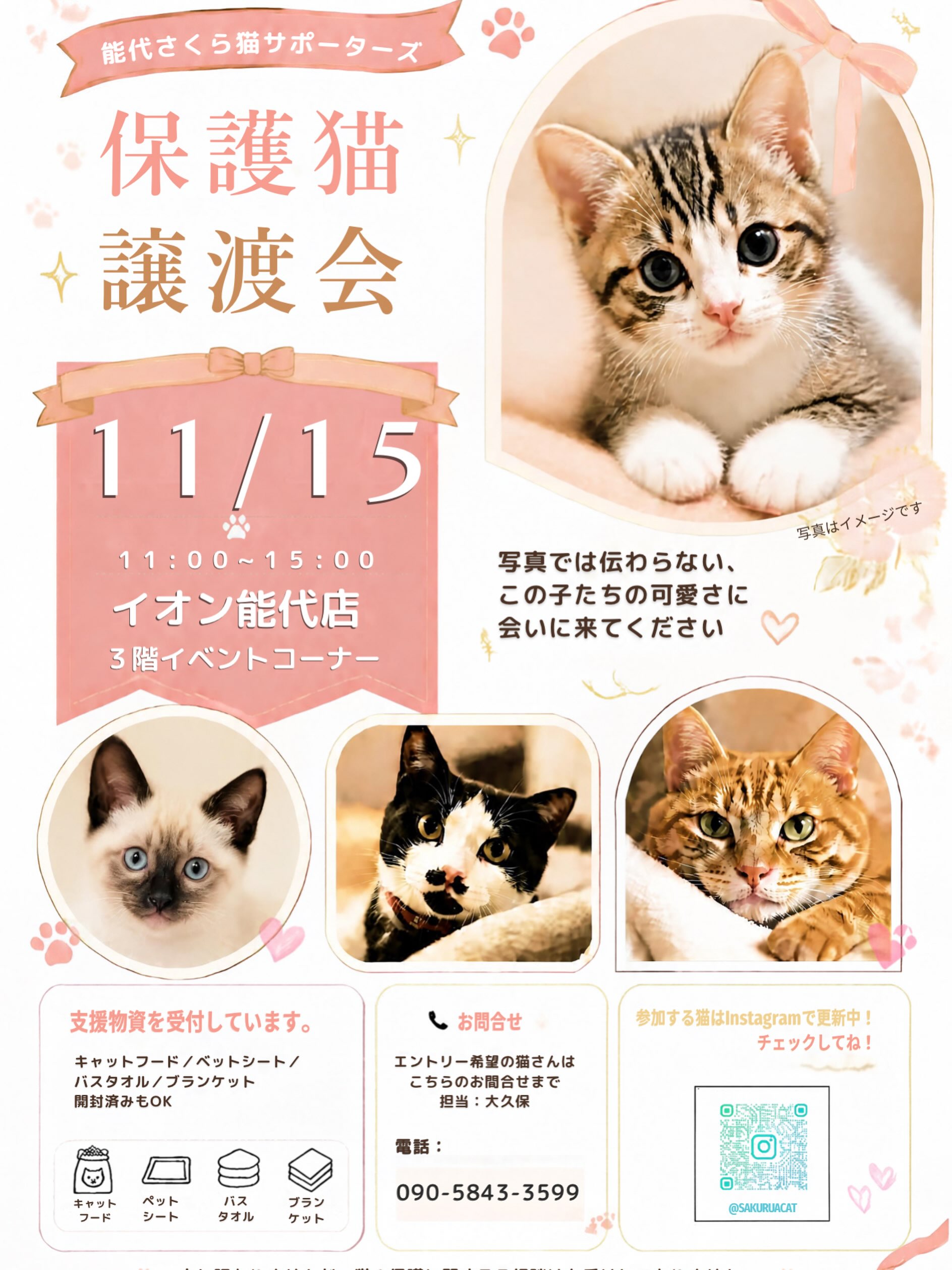🐾 11月の保護猫譲渡会のお知らせ 🐾

10月の譲渡会はこれからですが、
11月の日程も決まりましたので、
ちょっぴり早めにお知らせします☺️🍁

📅 11月15日（日）
⏰ 11:00〜15:00
📍 イオン能代店 3階 イベントコーナー

今回も、いろんな個性を持った保護猫たちが
参加予定です🐈🐾

元気いっぱいの子猫。
のんびりマイペースな成猫。
人が大好きな甘えん坊さん。
ちょっぴり恥ずかしがり屋さん。

そしてもしかしたら……

まだ人との暮らしをお勉強中の
“シャー猫さん”も参加するかもしれません😂

シャー！も、その子なりの
「ちょっと怖いよ〜」の意思表示。

そんなところも含めて、
みんなそれぞれ違って、みんなかわいい。

写真だけでは伝わらない表情や仕草、
その子の個性を、ぜひ実際に会って感じてみてください☺️

「猫を迎えるかはまだ決めていない」
「ちょっと猫たちに会ってみたい」
そんな方も大歓迎です🌿

もしかしたら、
「あ、この子だ。」
と思える出会いがあるかもしれません🐈💕

当日は、キャットフード・ペットシート・バスタオル
ブランケットなどの支援物資も受付しています。
開封済みのフードもOKです◎
ペットシートは、スーパーワイド>ワイド>レギュラーの順に不足しがちです🙇‍♀️

参加する猫たちは、これからInstagramで少しずつご紹介していきます📱✨
ぜひチェックしてくださいね！

📅 11月15日（日）
かわいい子も、甘えん坊も、シャーさんも。
みんなでお待ちしています🐾

能代さくら猫サポーターズ

#能代さくら猫サポーターズ
#保護猫譲渡会
#保護猫
#里親募集
#シャー猫
保護猫を家族に
猫との暮らし
秋田県
能代市
イオン能代店