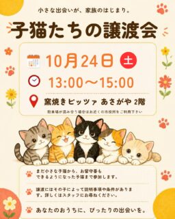 🐾🌷 小さな保護猫譲渡会のお知らせ 🌷🐾

10月24日（土）
窯焼きピッツァ あさがやにて
子猫たちの譲渡会を開催します🐈💕

少しずつ成長して、お留守番もできるようになった子や
甘えん坊だったり、元気いっぱいのいたずらっ子…

そして、人と仲良くなるために、今、一生懸命練習している子もいます。

最初は怖くて隠れてばかりだった子が、少しずつ近くに来てくれるようになったり。

そっと差し出した手の匂いを嗅いでくれたり
すぐに甘えられる子もいれば、
仲良くなるまでに少し時間が必要な子もいます。

その子のペースを大切にしながら、
ゆっくり心を通わせてくださるご家族との
出会いも願っています。

みんなが
幸せに暮らしてほしい。

そんな願いを込めて🌼

「いつか猫と暮らしてみたいな」

そんなふうに思っている方も、
ぜひ子猫たちに会いにいらしてください。

小さな出会いが、いつか大きな幸せにつながりますように。

🐈 小さな保護猫譲渡会

📅 10月24日（土）
🕐 13:00〜15:00
📍 窯焼きピッツァ あさがや
  秋田県能代市柳町8-30

🅿️お店の横にも止められますが混雑している
場合は近くの能代市役所をご利用下さい。

🐾 譲渡には説明事項や条件がございます。スタッフ
にお気軽にお尋ねください。
🐾現在子猫〜成猫の預かりボランティアさんを募集しています。

子猫たちと一緒に、皆さまのお越しをお待ちしております🌷

#能代さくら猫サポーターズ #保護猫譲渡会 #子猫の譲渡会 #里親募集中 #保護猫を家族に 秋田県能代市 能代市 猫との暮らし